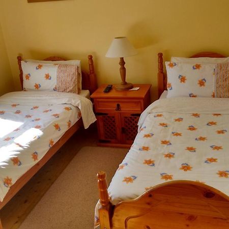 Bed and Breakfast Grannagh Castle House à Waterford Extérieur photo