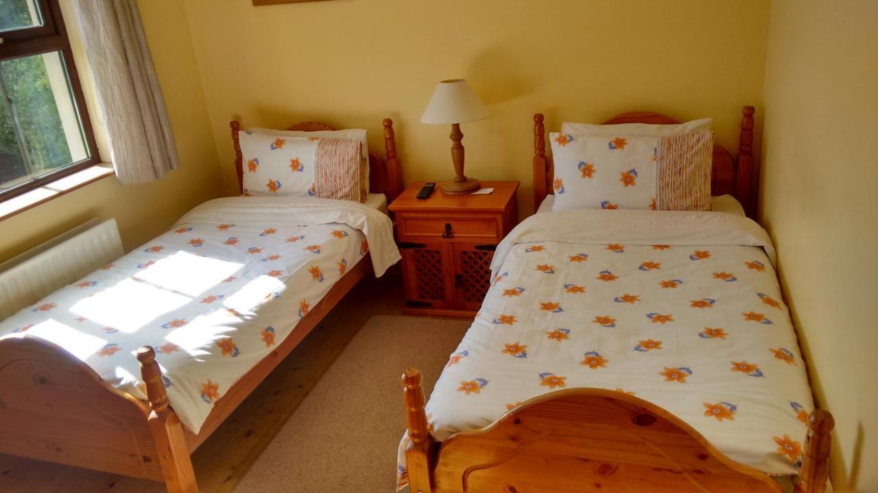 Bed and Breakfast Grannagh Castle House à Waterford Extérieur photo