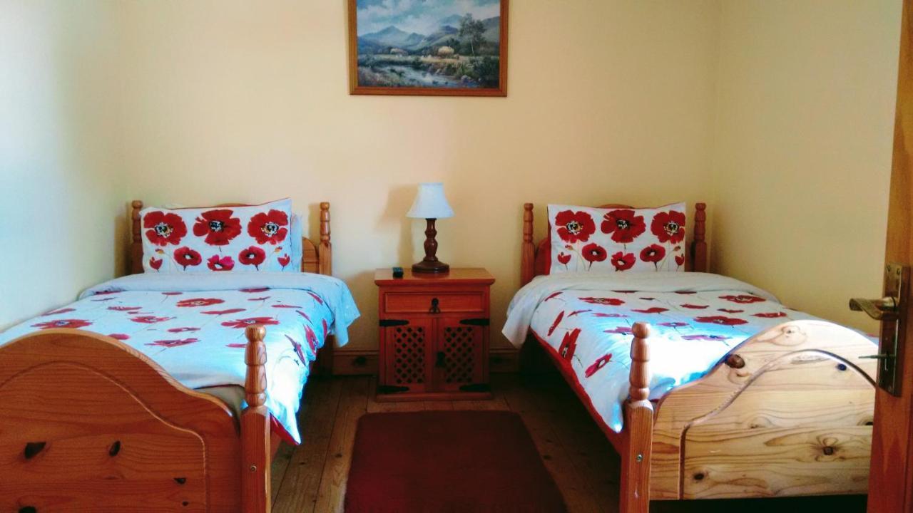 Bed and Breakfast Grannagh Castle House à Waterford Extérieur photo