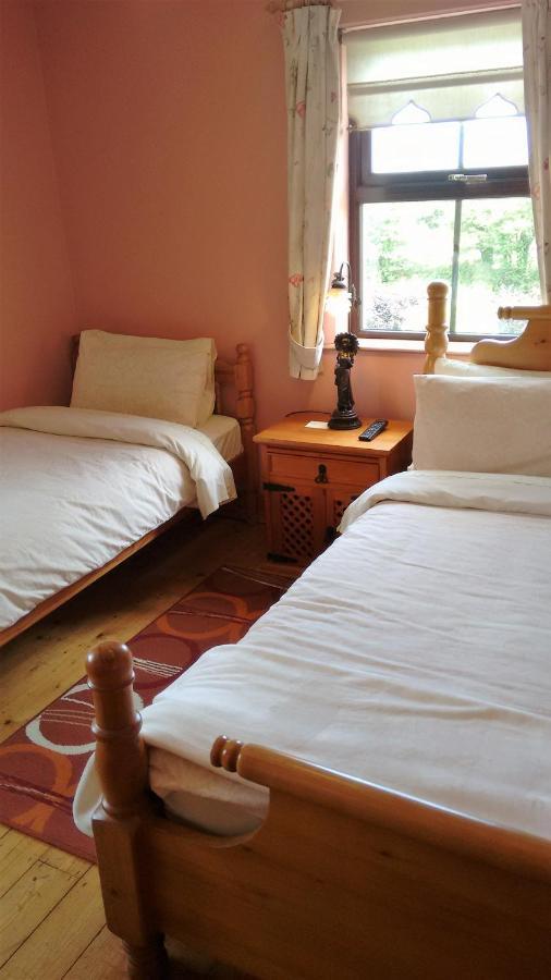 Bed and Breakfast Grannagh Castle House à Waterford Extérieur photo
