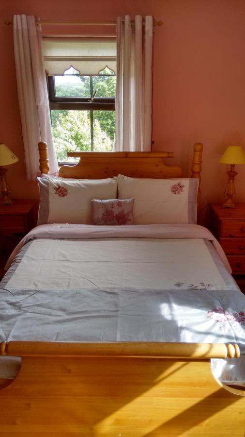Bed and Breakfast Grannagh Castle House à Waterford Extérieur photo