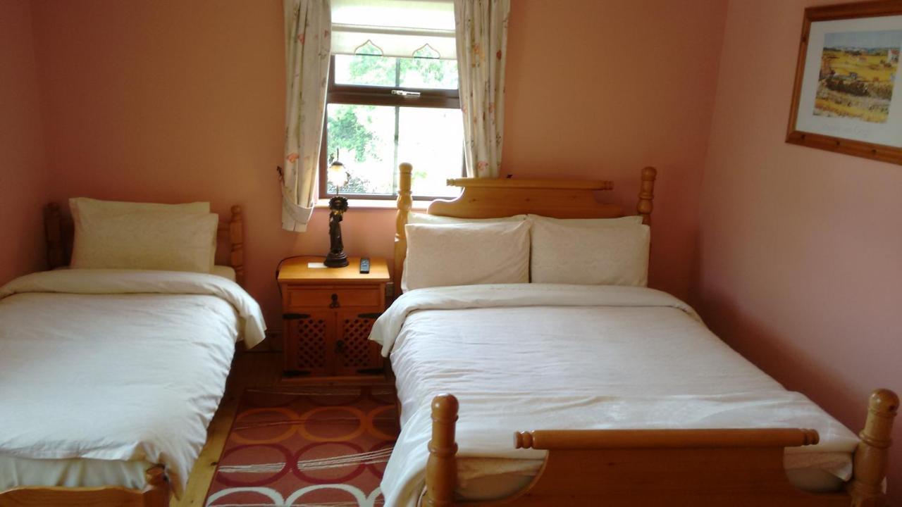 Bed and Breakfast Grannagh Castle House à Waterford Extérieur photo